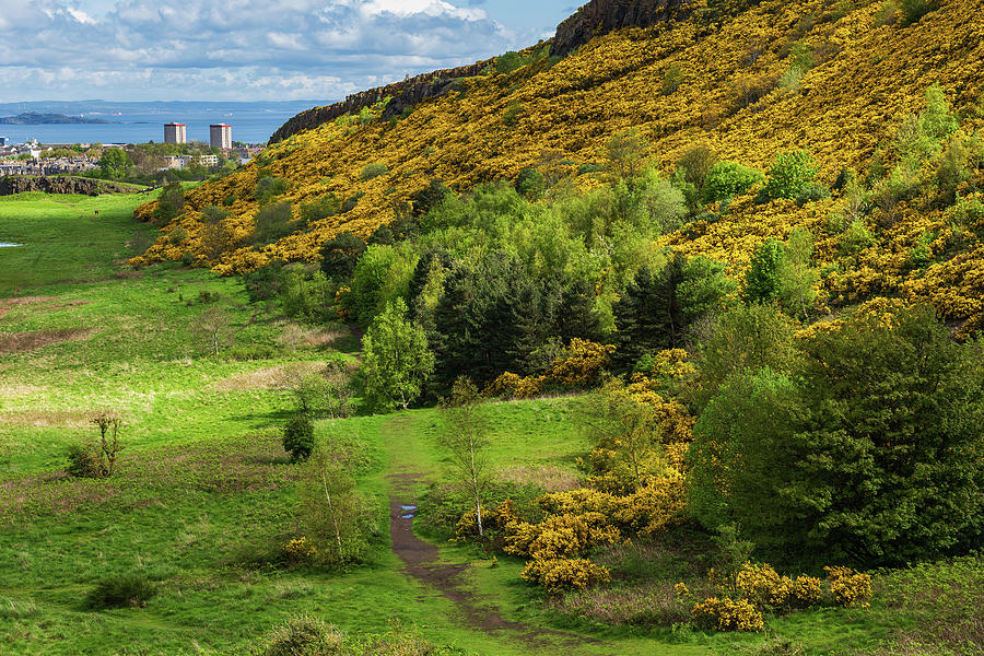 Scottish Lowlands Landscape In Spring Photograph by Artur Bogacki