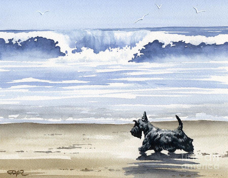 Dog Painting - Scottish Terrier at the Beach by David Rogers