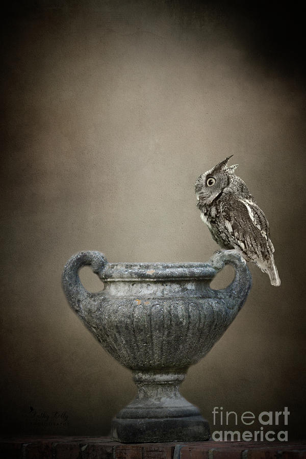 Screech Owl on Vase Mixed Media by Kathy Kelly