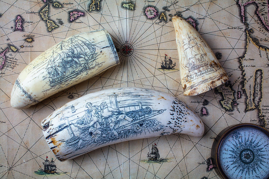Scrimshaw Ships Photograph by Garry Gay