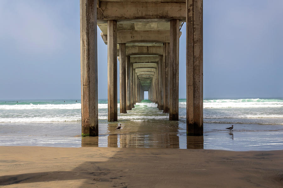 Scripps Pier Photograph by Alison Frank