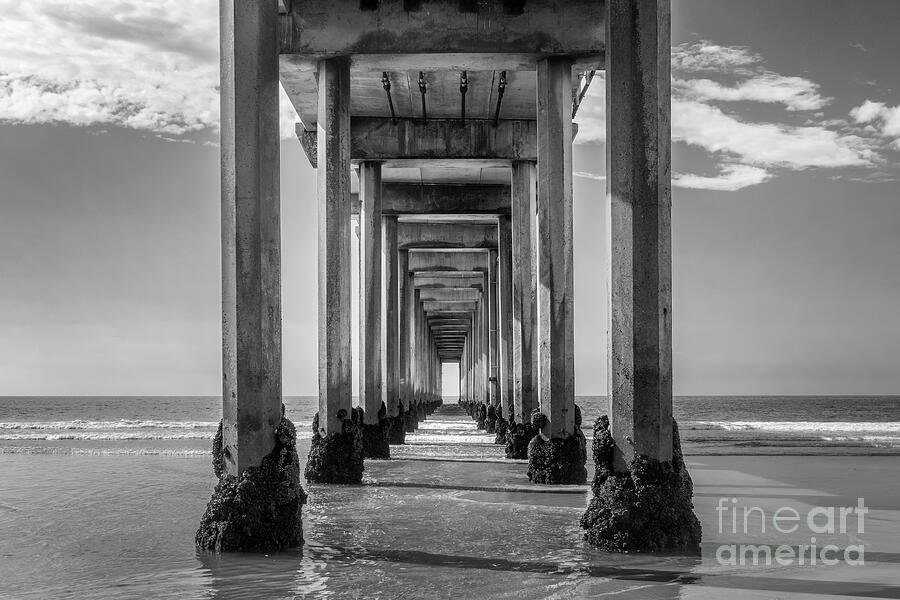 Scripps pier, La Jolla, San Diego Photograph by Delphimages Photo Creations