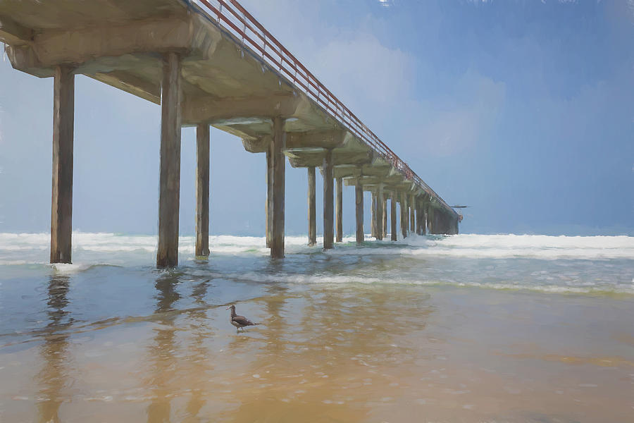 Scripps Pier with Seagull Digital Art by Alison Frank