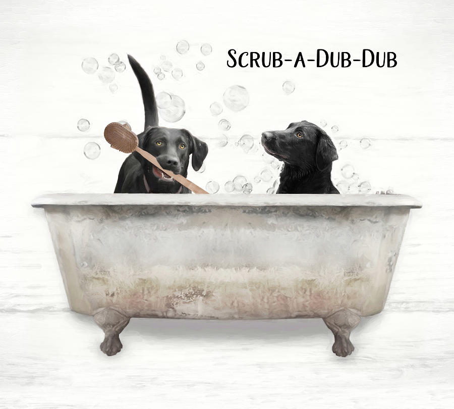 Scrub A Dub Dub 2 Mixed Media by Lori Deiter