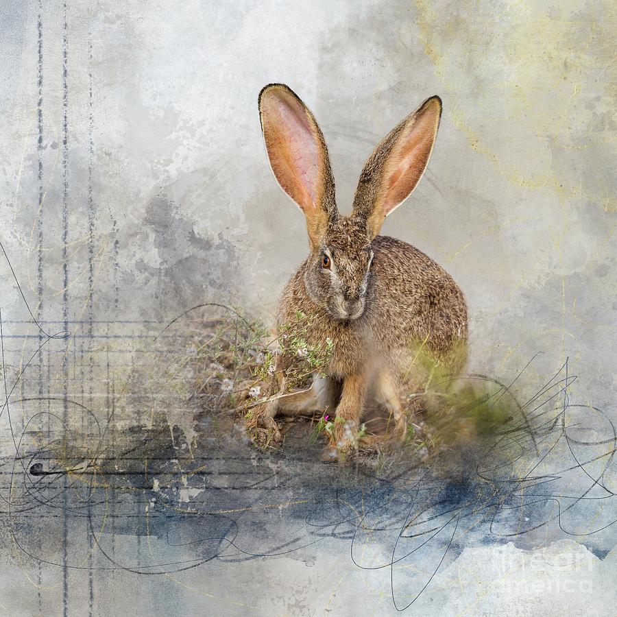 Scrub Hare4 Mixed Media by Eva Lechner
