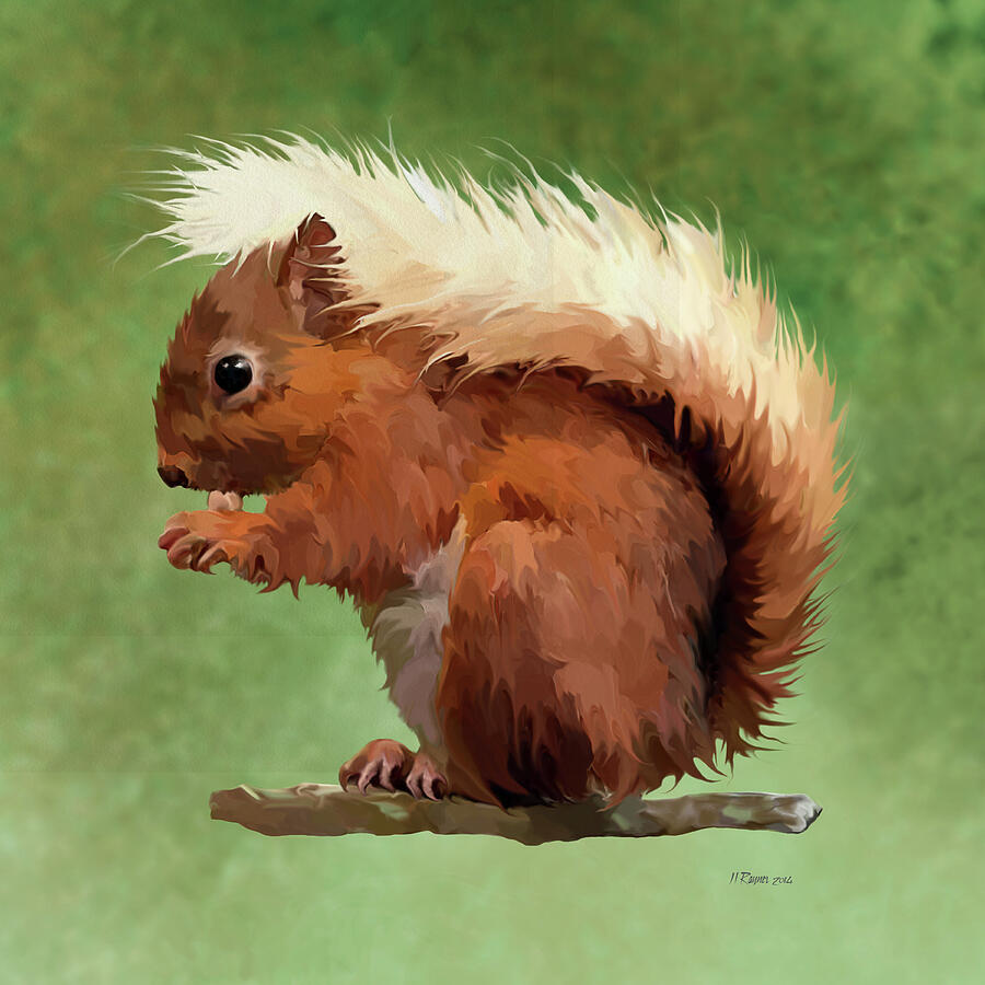 Scruffy Red Squirrel Digital Art by Bamalam Art Scruffy Red Squirrel Digital Art by Bamalam Art