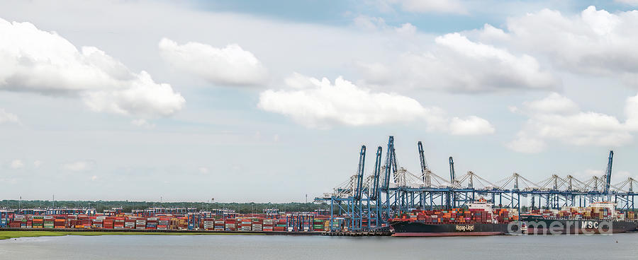 SCSPA Wando Welch Terminal in Mount Pleasant, South Carolina Photograph by David Oppenheimer