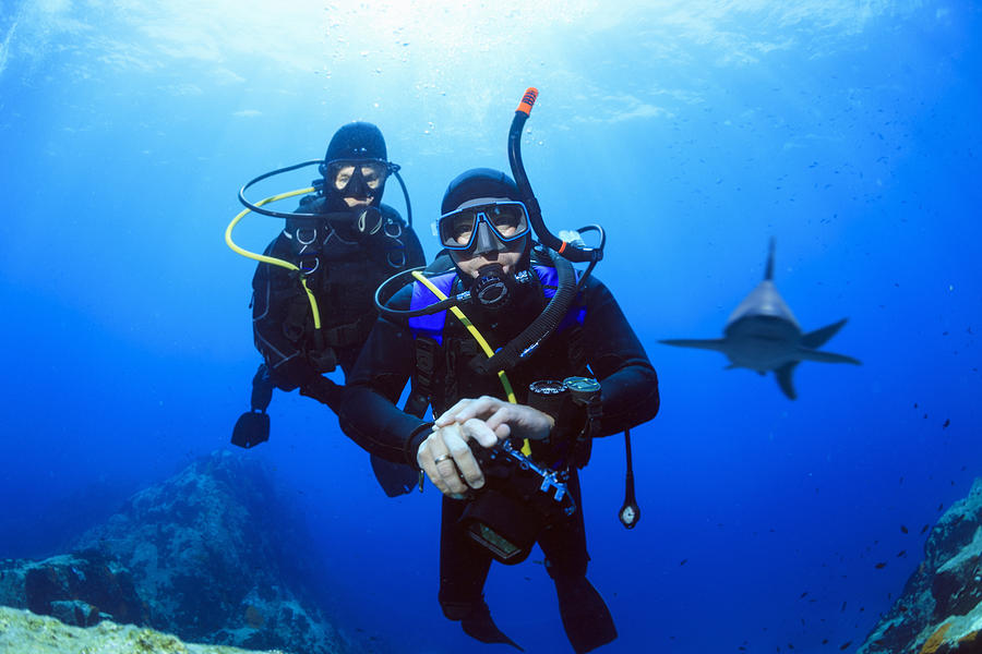 Scuba divers - Shark reef Photograph by Ultramarinfoto