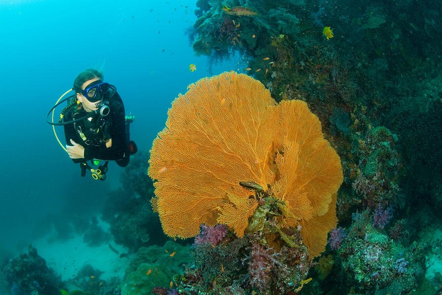 Scuba diving Photograph by Image Source