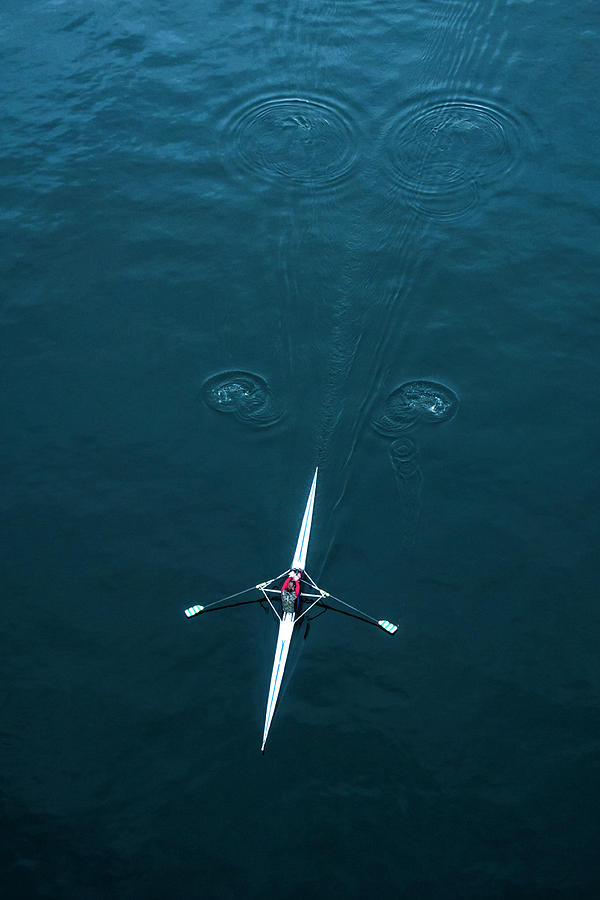 Sculling Photograph by Alexander Farnsworth