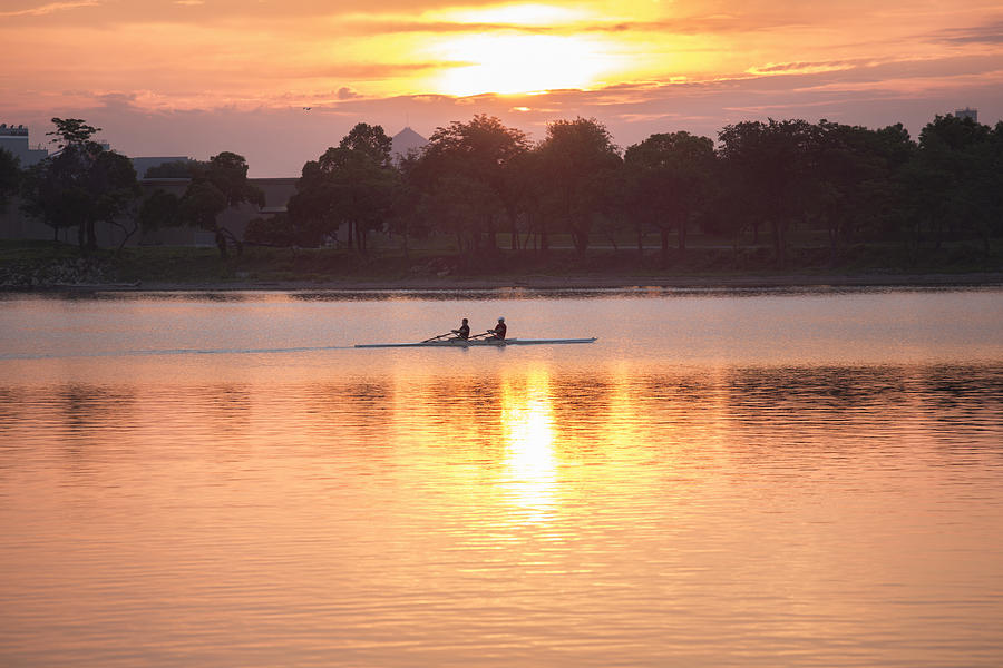 Sculling at sunrise Photograph by Greg Pease