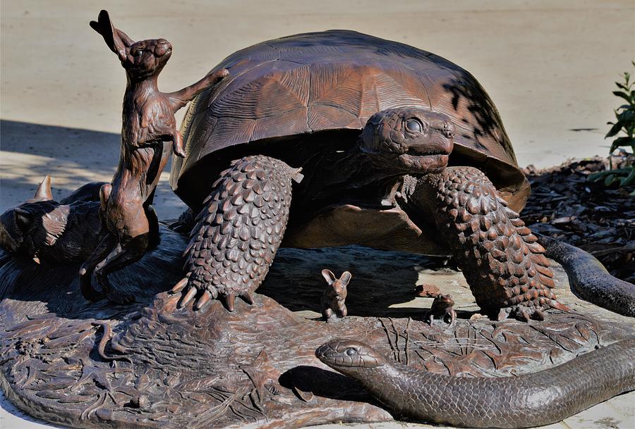 Turtle Photograph - Sculpture at Hammock Hollow by Warren Thompson