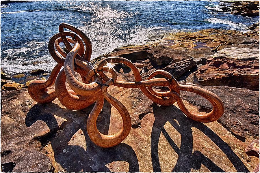 Sculpture by the Sea 2022 13 Photograph by Andrei SKY Fine Art America