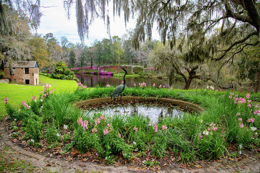 Sculpture Garden in Spring Photograph by Cindy Robinson