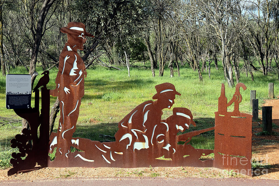 Sculpture, Mingenew, Western Australia Photograph by Elaine Teague