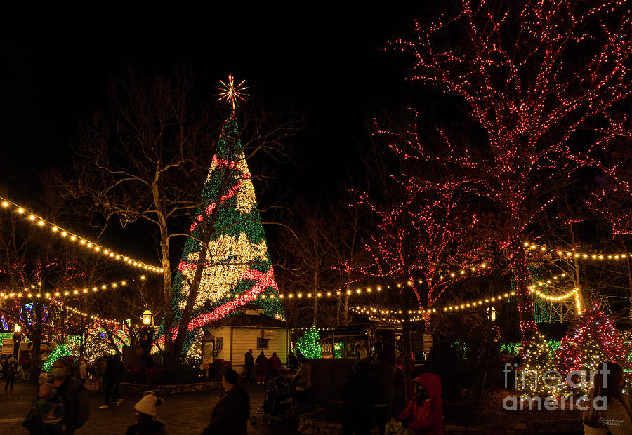 SDC Square At Christmas Photograph by Jennifer White