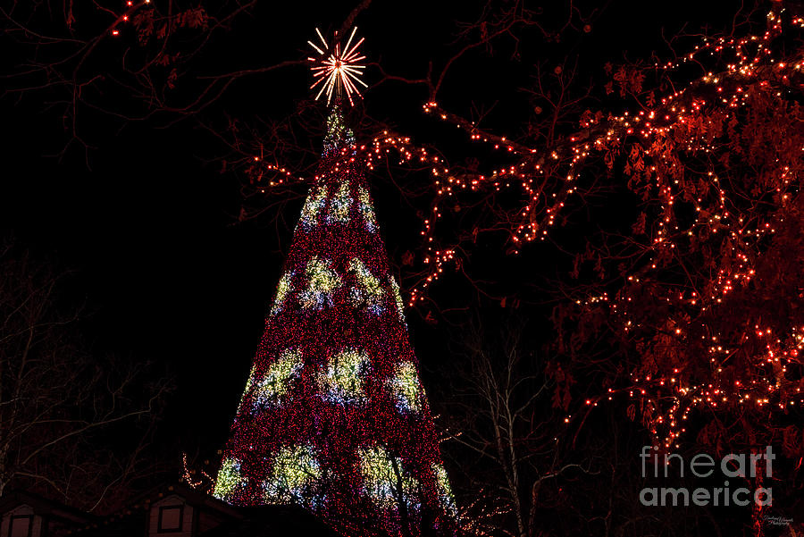 SDC Tall Christmas Tree In Red Photograph by Jennifer White
