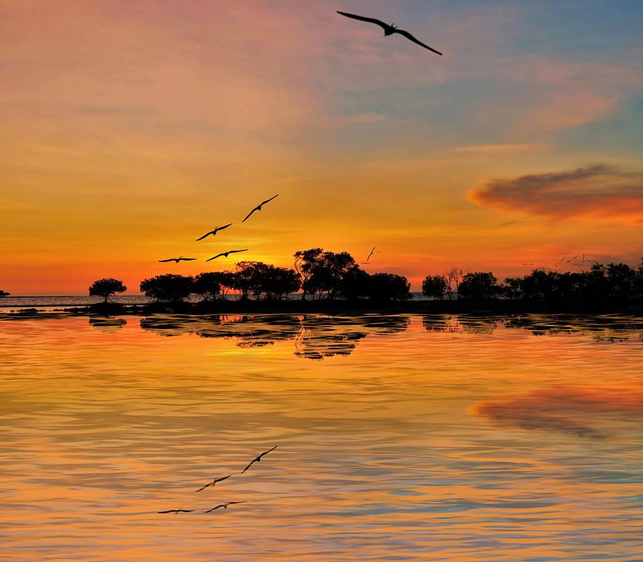 Sea And Sunset Reflections Birds Fly High Photograph by Joan Stratton