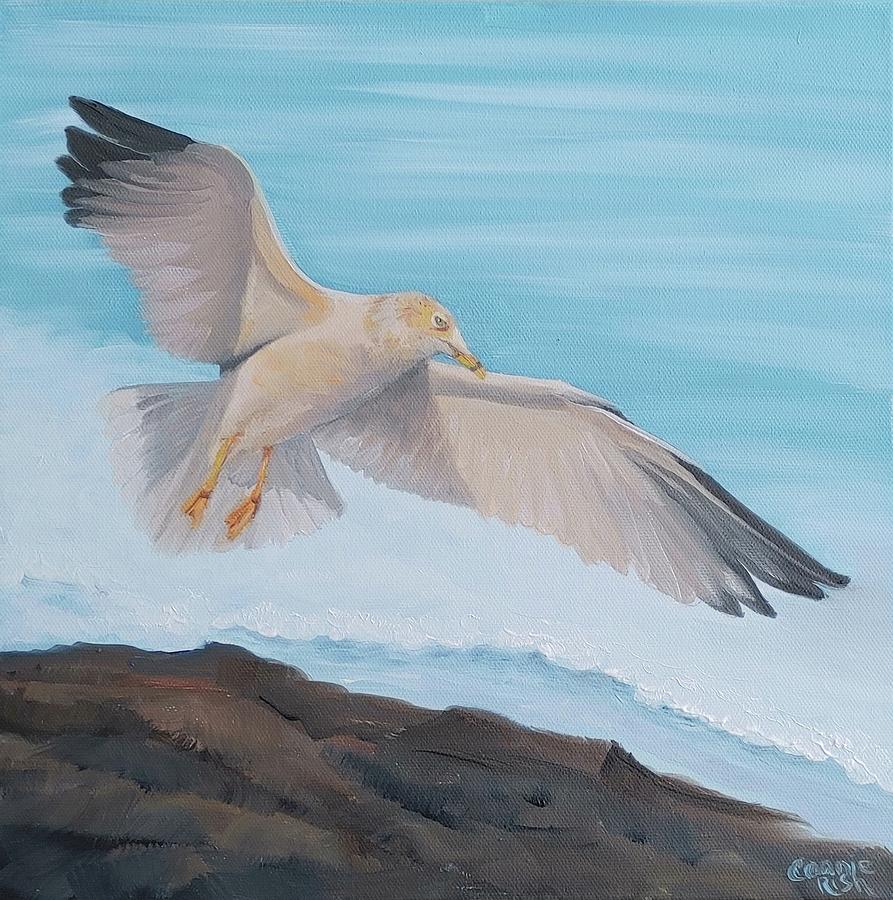 Sea Bird Painting by Connie Rish
