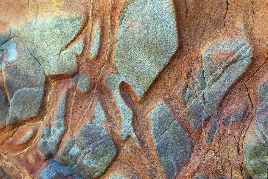 Sea Cliff Formations #5 Photograph by Carla Brennan