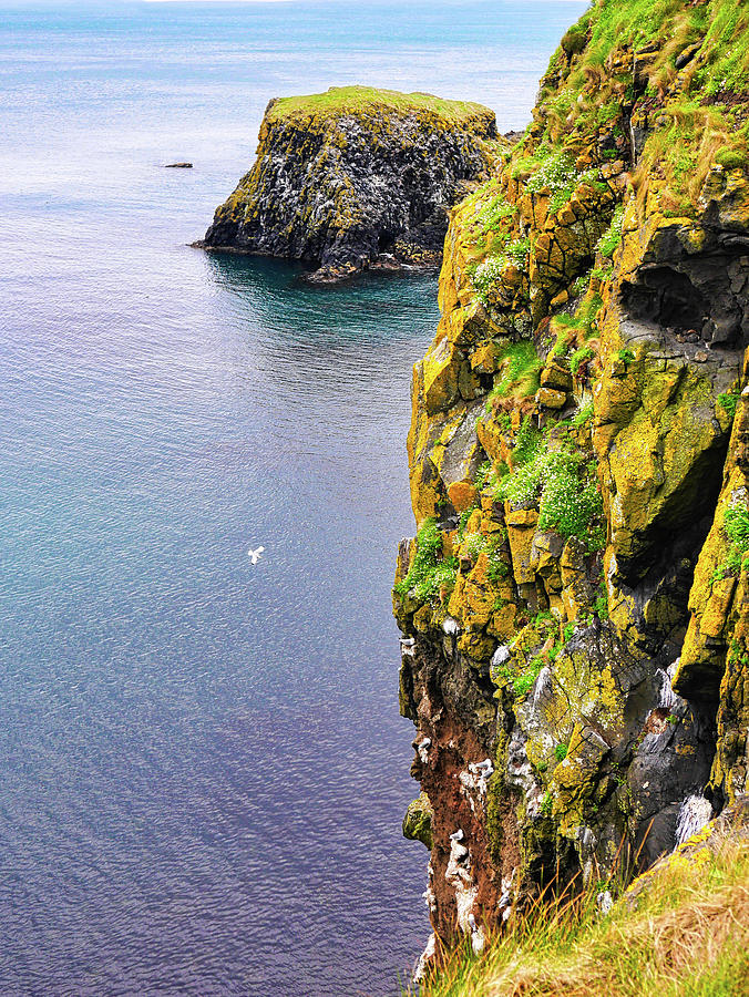 Sea Cliffs Antrim Coast Northern Ireland Photograph by Lexa Harpell