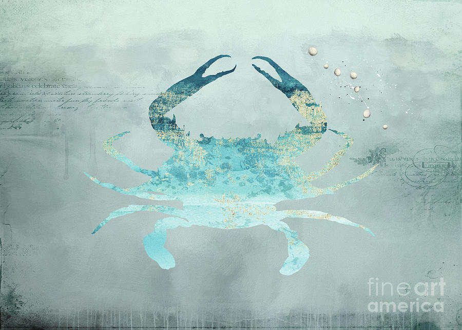 Sea Crab Digital Art by Kelley Freel-Ebner - Fine Art America