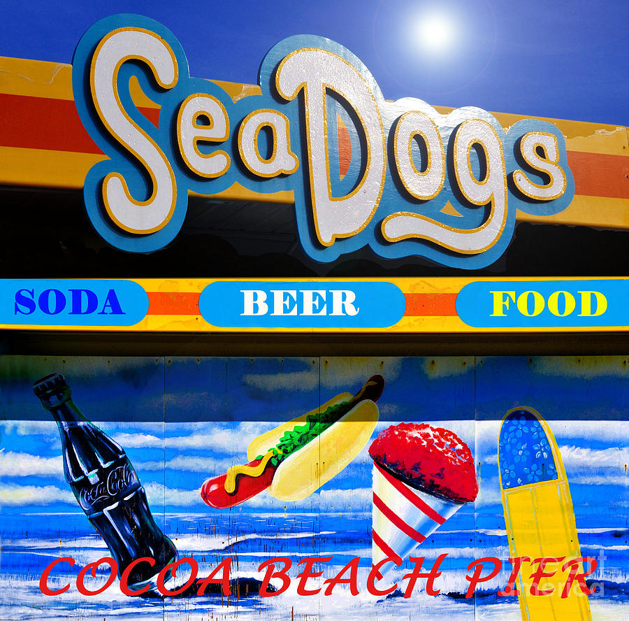 Sea Dogs Coca Beach Pier Mixed Media by David Lee Thompson