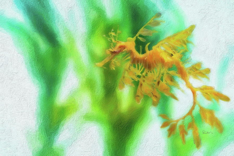 Sea Dragon in Kelp Digital Art by Russ Harris