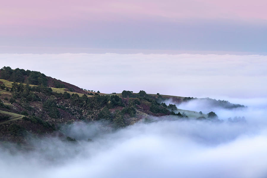 Sea Fog Photograph by Shelby Erickson