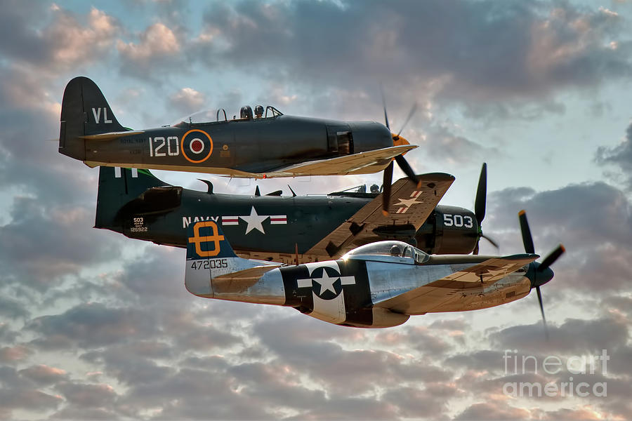 Sea Fury - Skyraider - Mustang by Steve H Clark Photography