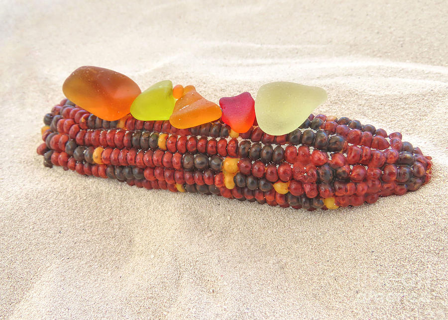 Sea glass and flint corn Photograph by Janice Drew