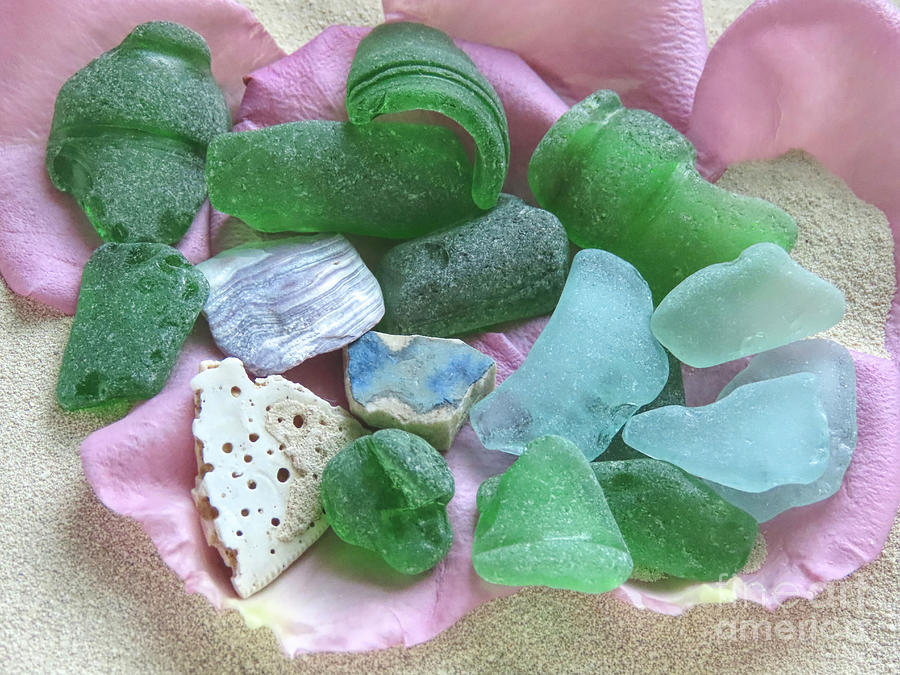 Sea glass from White Horse Beach  Photograph by Janice Drew