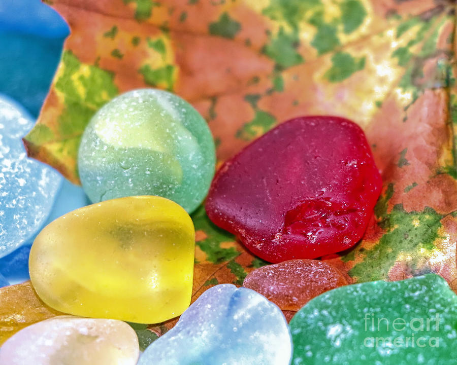 Sea glass in autumn colors Photograph by Janice Drew
