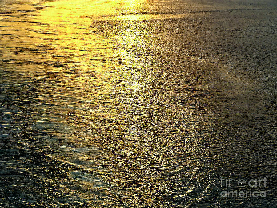 Hundred Shades Of Gold, Golden Sea, Nature Painting, Cruise Photograph by Tatiana Bogracheva