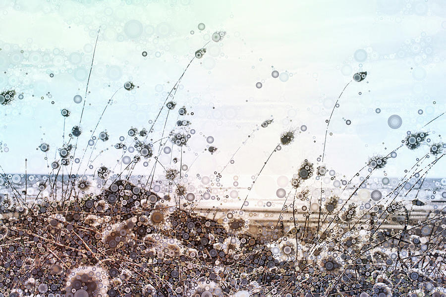 Landscape Pastel - Sea Grass by Susan Maxwell Schmidt