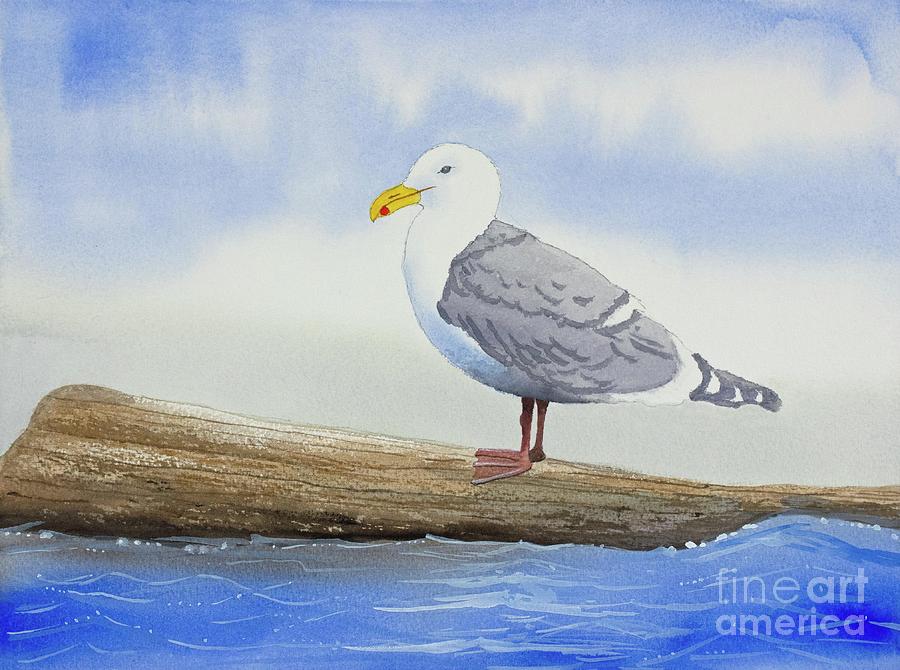 Sea Gull at Rest Painting by Norma Appleton