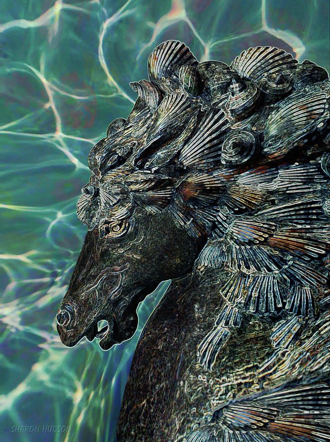 sea horse fantasy - Poseidon Photograph by Sharon Hudson