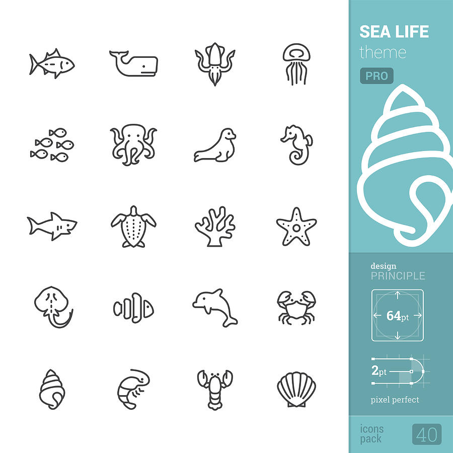 Sea Life theme, outline vector icons - PRO pack Drawing by Lushik