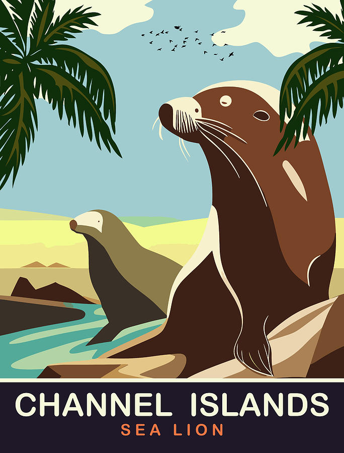 Sea Lion, Channel Islands, CA Digital Art by Long Shot
