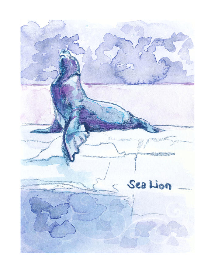 Sea Lion Zooly 2019 Drawing