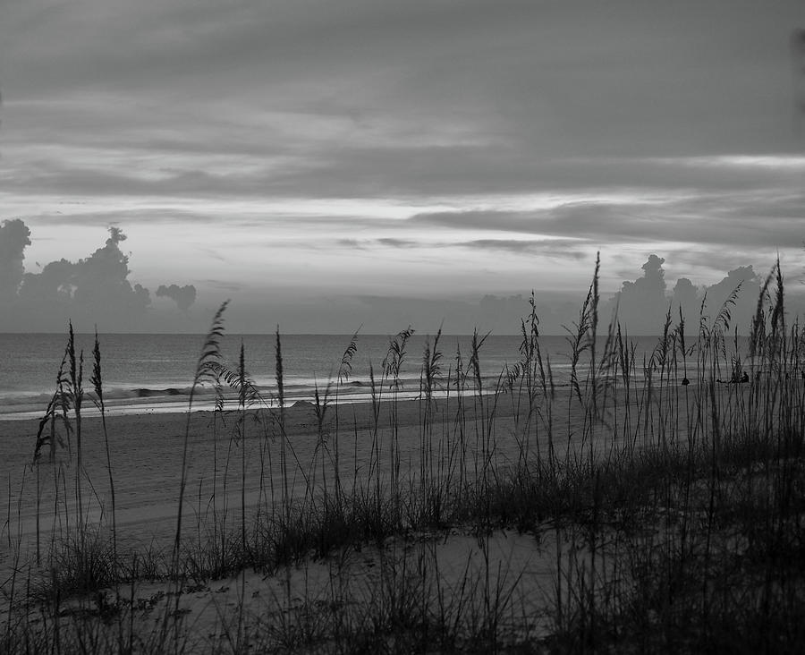 Sea Oats against Horizon on Florida Beach Photograph by James C Richardson