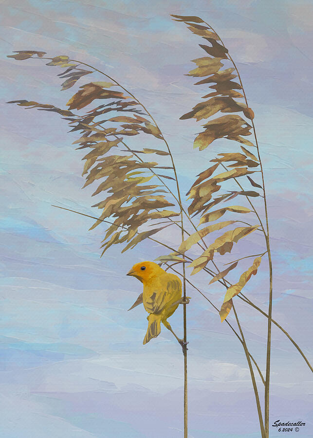 Sea Oats and Saffron Digital Art by Spadecaller - Fine Art America