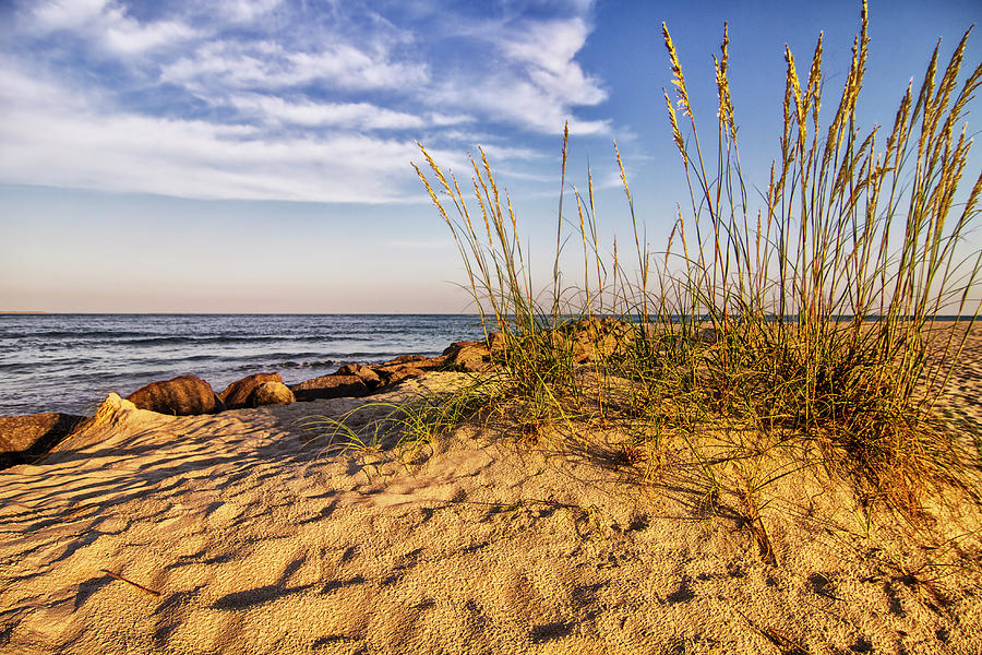 Sea Oats and Sand on Atlantic Beach North Carolina Photograph by Bob Decker