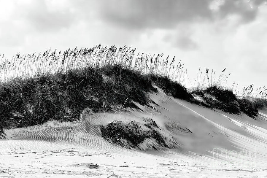 Sea Oats and Sand Photograph by Scott Cameron
