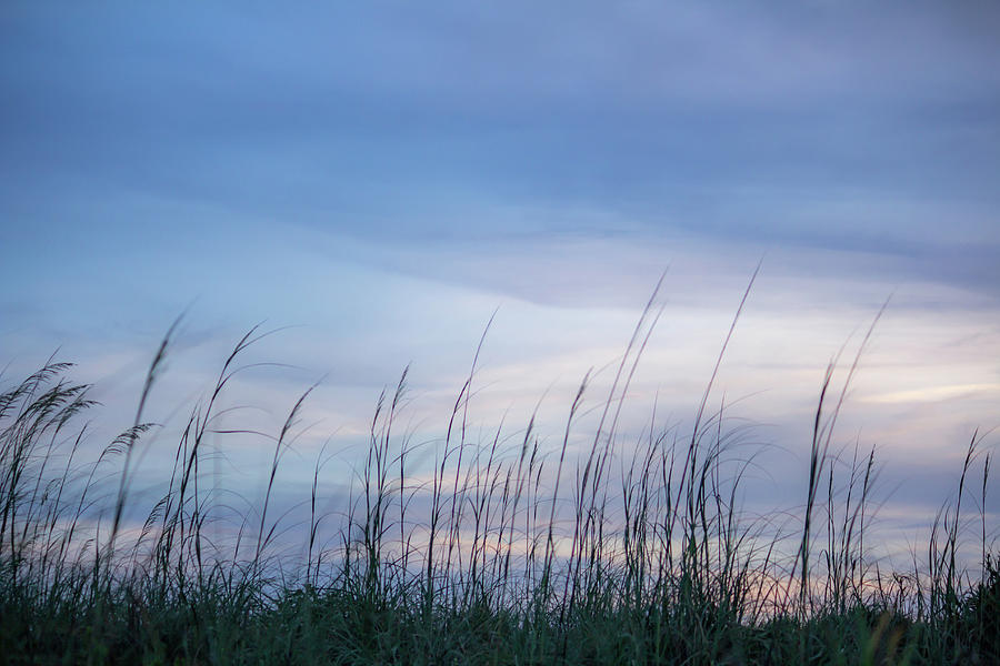 Sea Oats at Sunset Photograph by Cindy Robinson