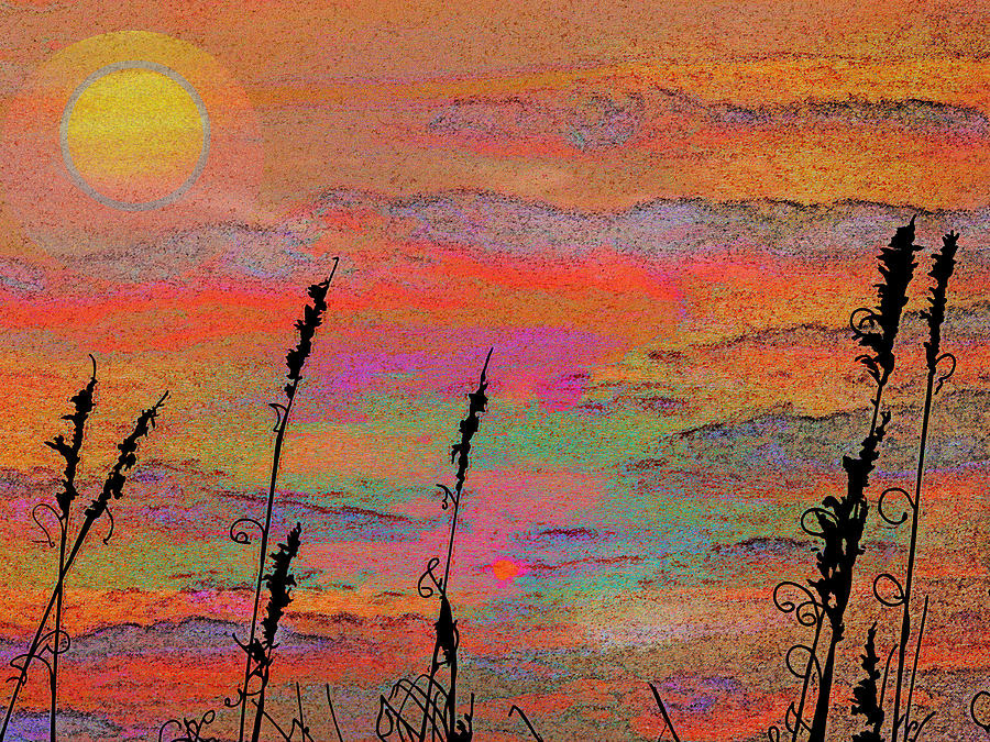 Sea Oats At Sunset Digital Art by Rod Whyte