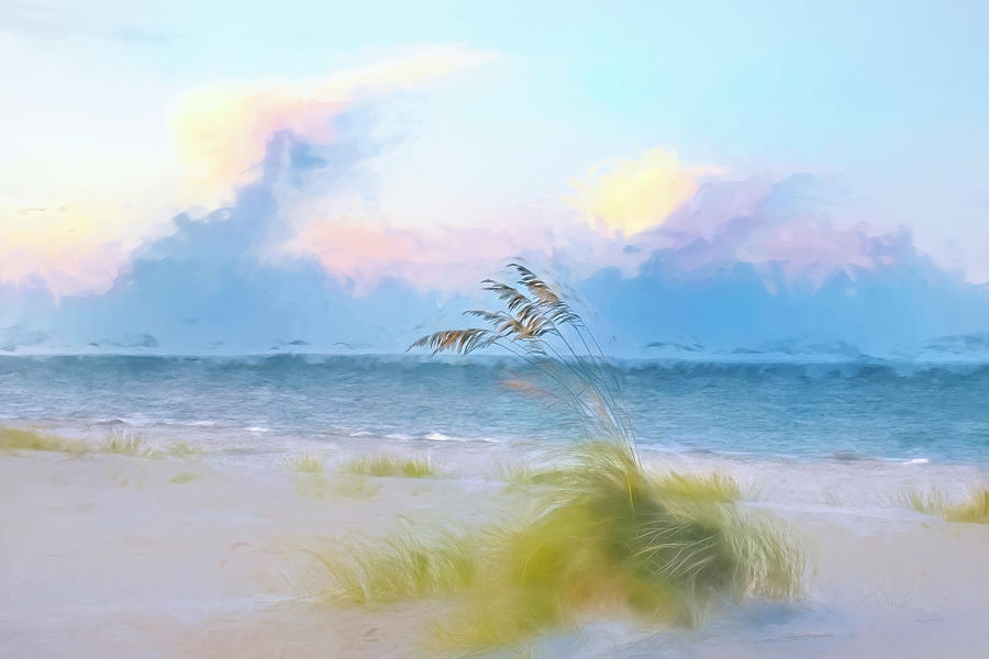 Sea Oats Photograph by Jerry Griffin