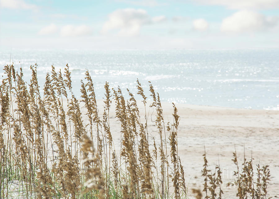 Beach Photograph - Sea Oats by Kelley Freel-Ebner