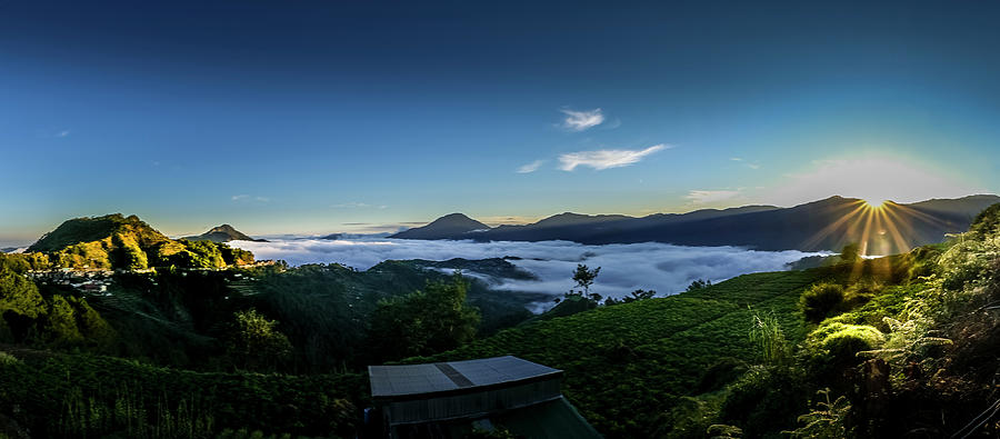 Sea of Clouds in Mountain Province Photograph by Arj Munoz