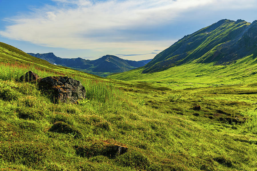 Mountain Photograph - Sea of Green by Chad Dutson